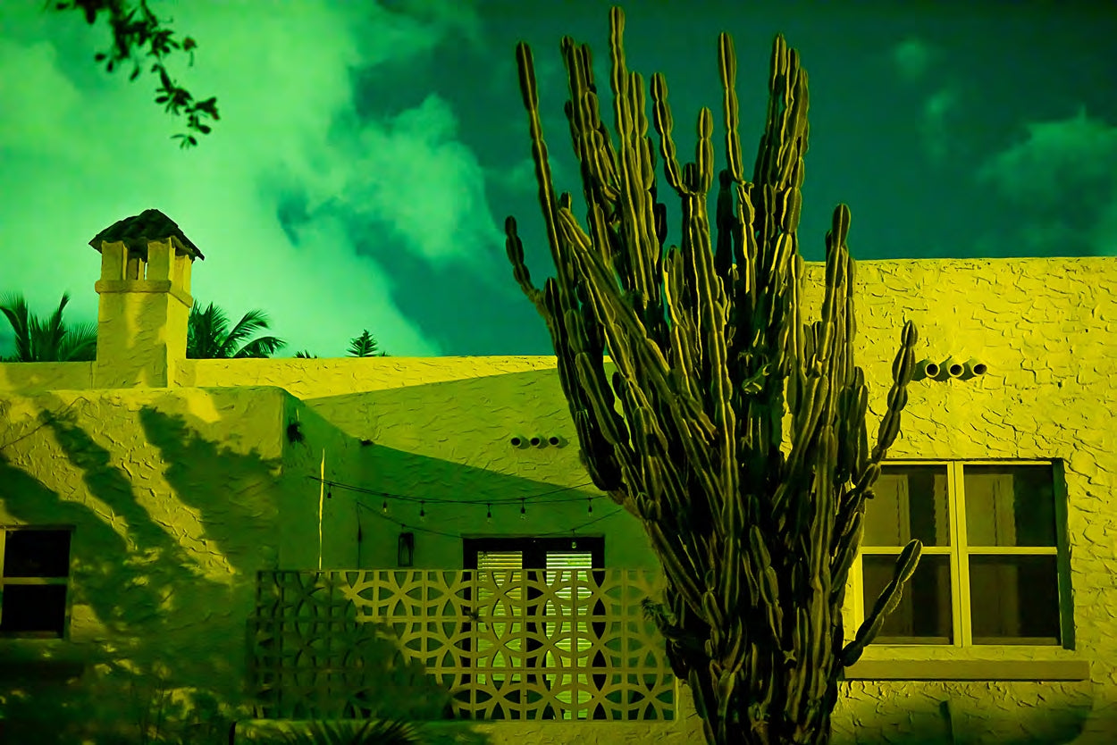 Too Foreign for Home I - Ljubica Denkovic