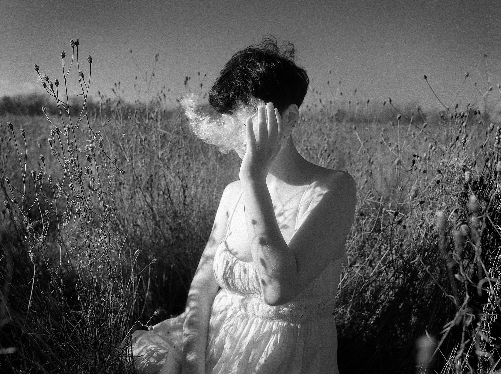 Perceive - Julia Forrest