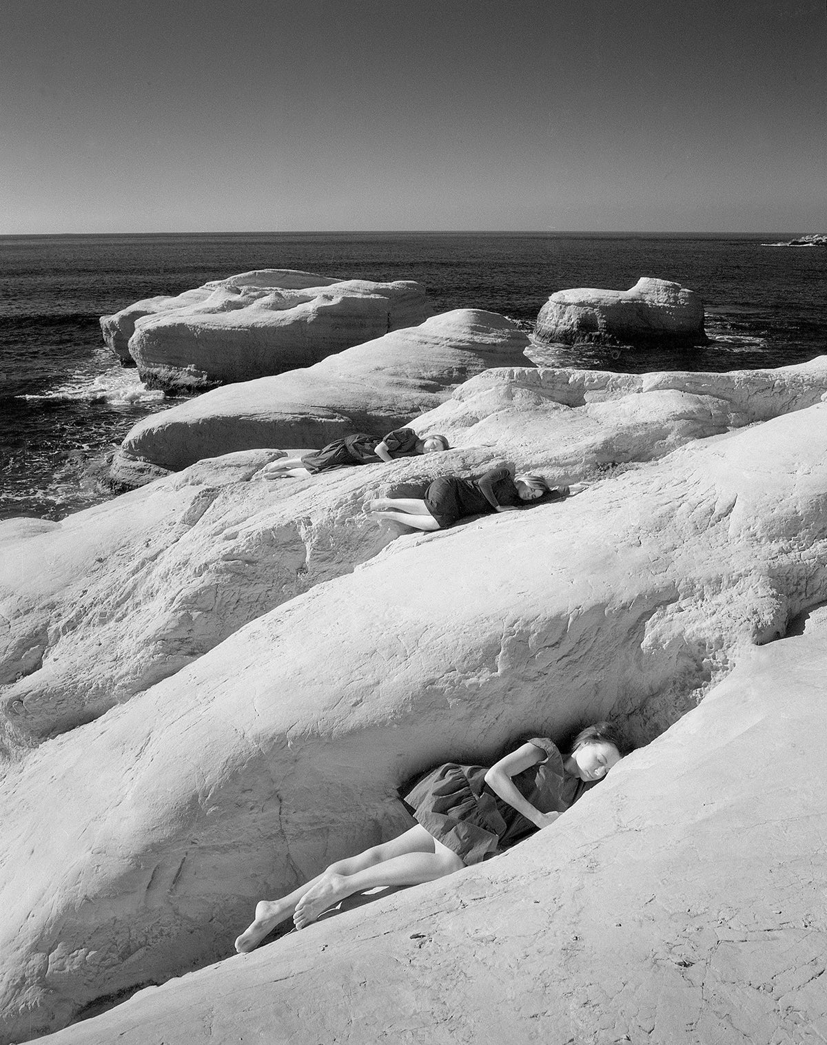 Distribute - Julia Forrest