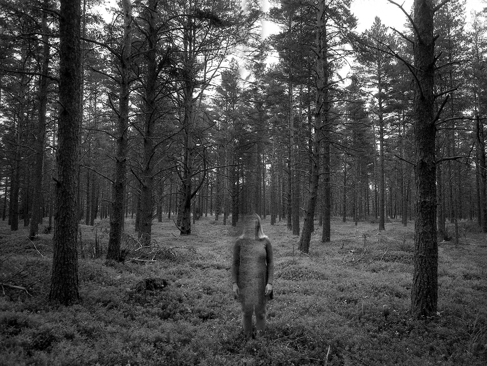 Fade - Julia Forrest